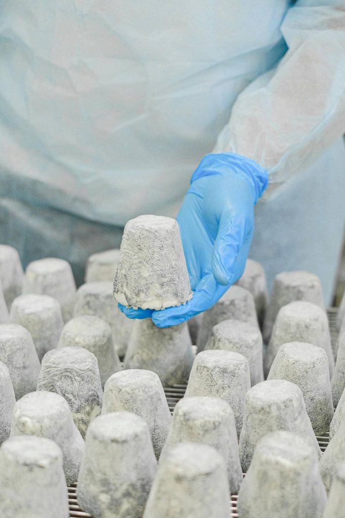 Les secrets de fabrication du fromage de chèvre Soignon